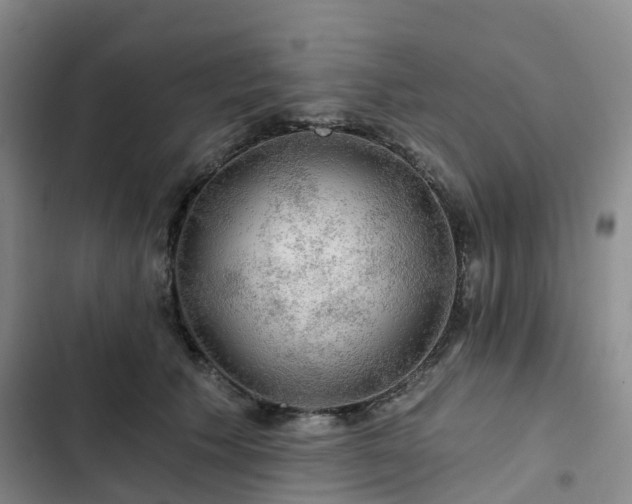 X0000102770609200808251053