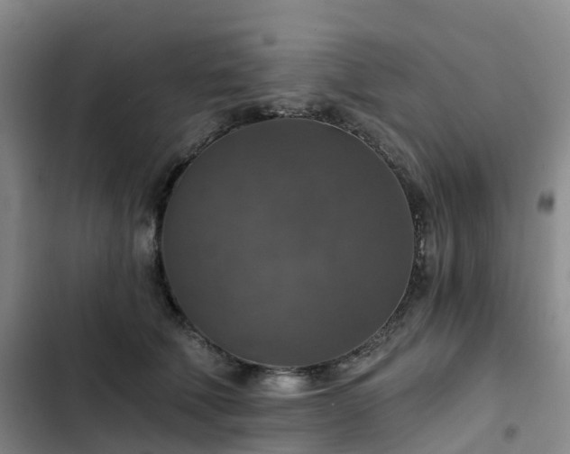 X0000102770610200808251053