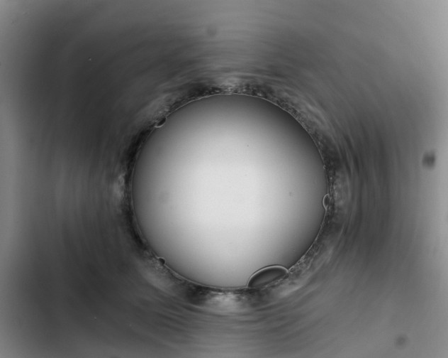 X0000102770611200808251053