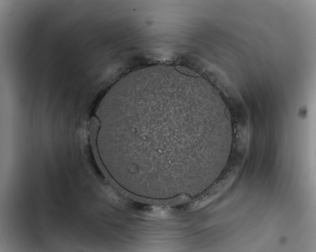 X0000102770612200808251053