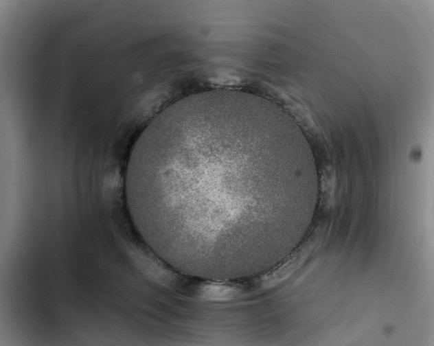 X0000102770614200808251053