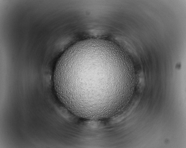 X0000102770615200808251053