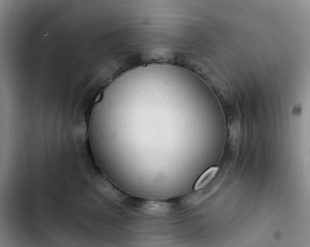 X0000102770617200808251053