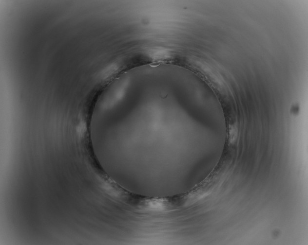 X0000102770618200808251053