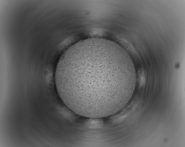 X0000102770619200808251053