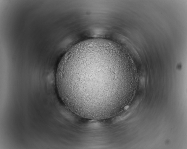 X0000102770620200808251053