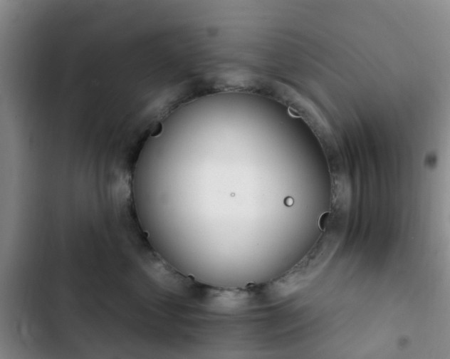 X0000102770621200808251053