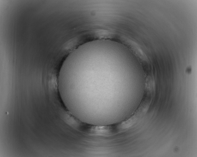 X0000102770622200808251053