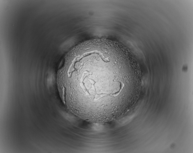 X0000102770623200808251053