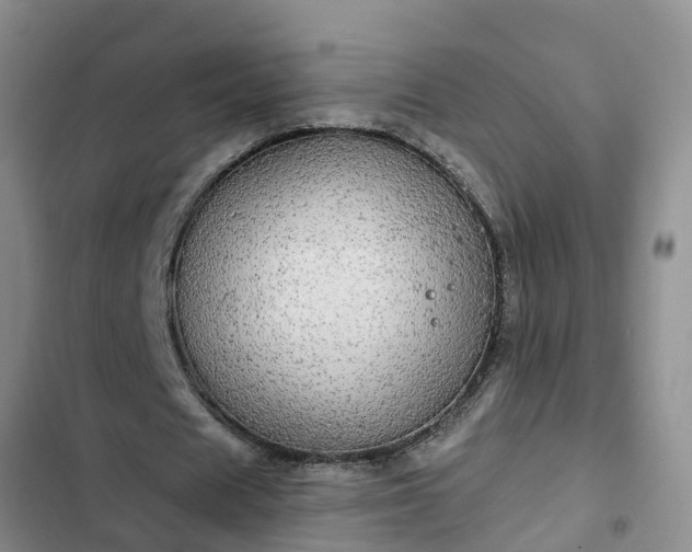 X0000102770625200808251052