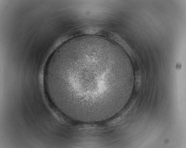 X0000102770626200808251052