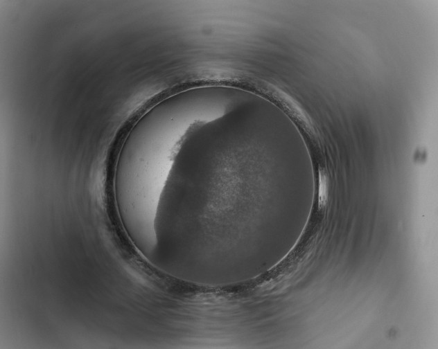 X0000102770627200808251052