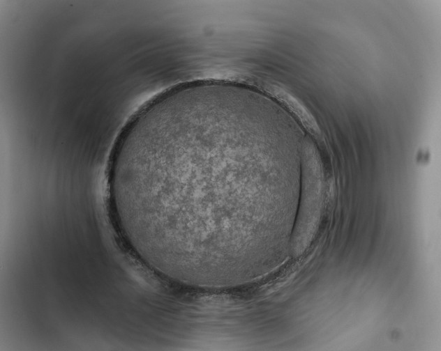 X0000102770628200808251053