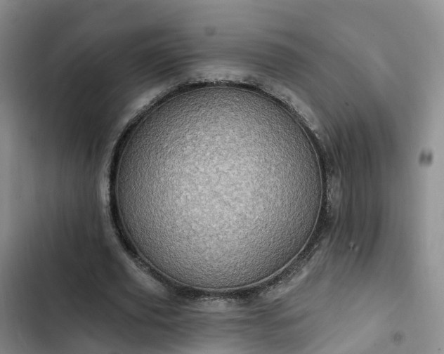 X0000102770629200808251053