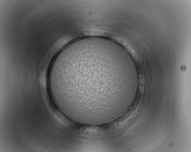 X0000102770631200808251053