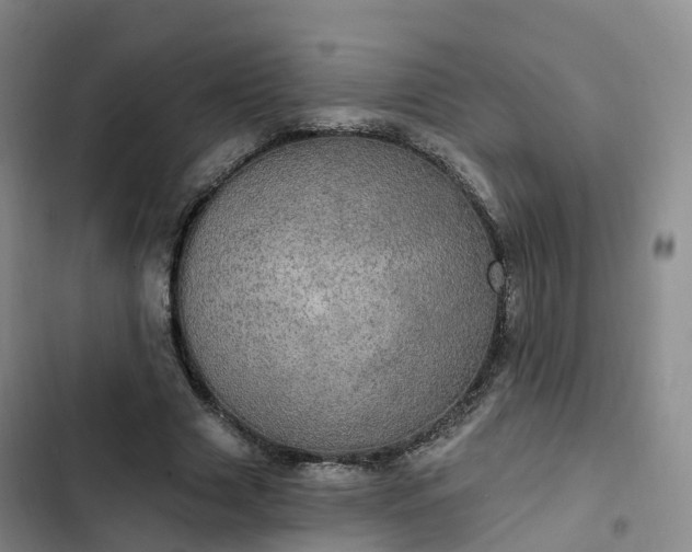 X0000102770633200808251053