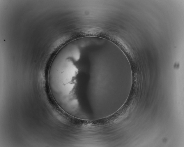 X0000102770634200808251053