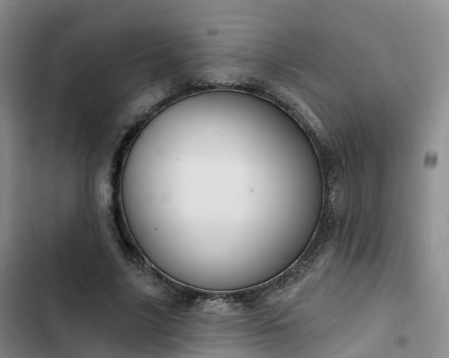 X0000102770635200808251053