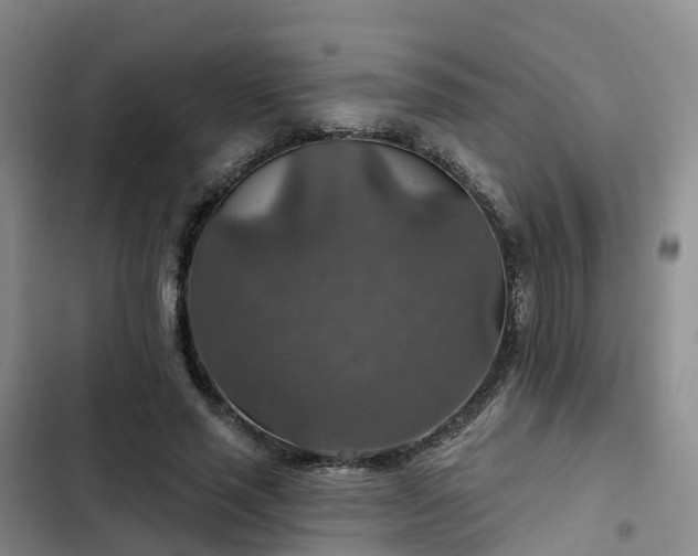 X0000102770637200808251053