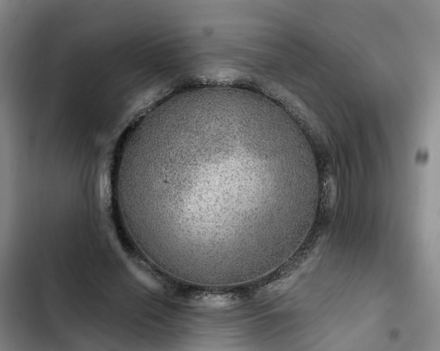 X0000102770638200808251053