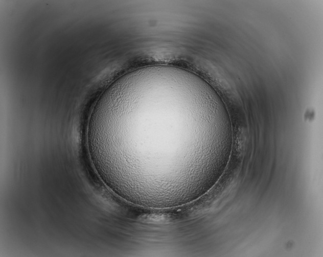 X0000102770639200808251053