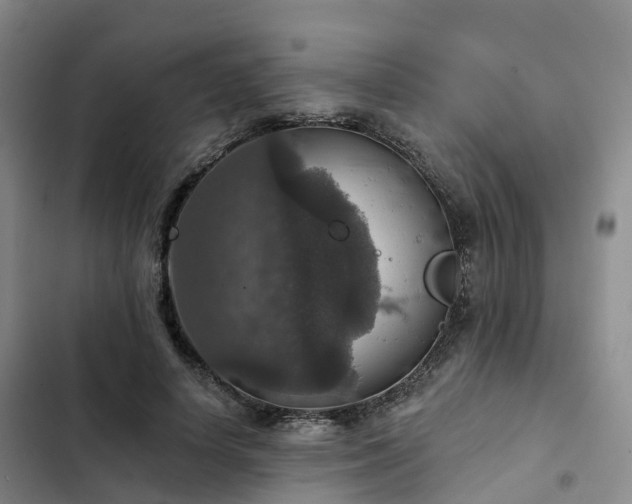 X0000102770642200808251053