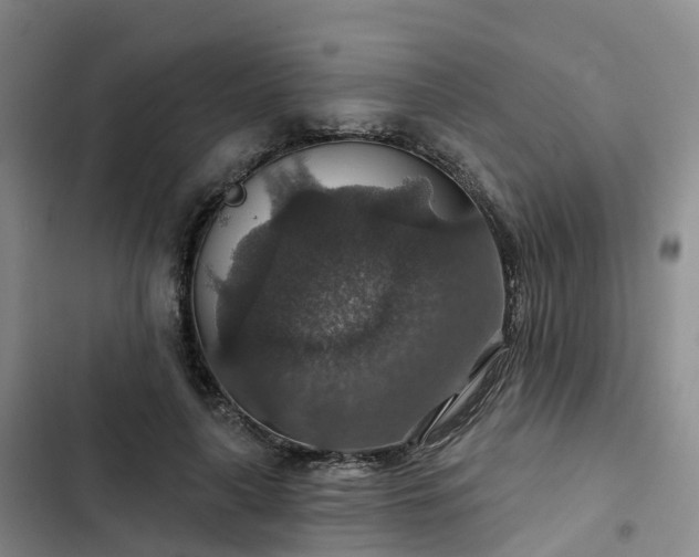 X0000102770643200808251053