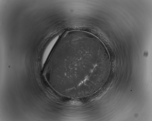 X0000102770644200808251053