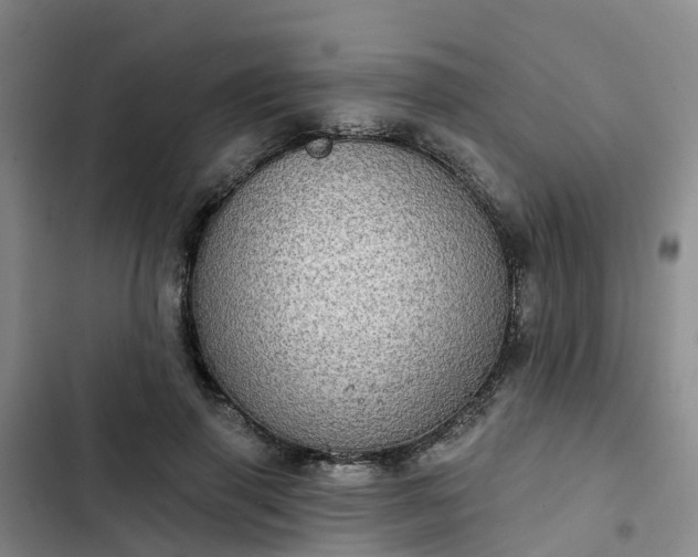 X0000102770645200808251053