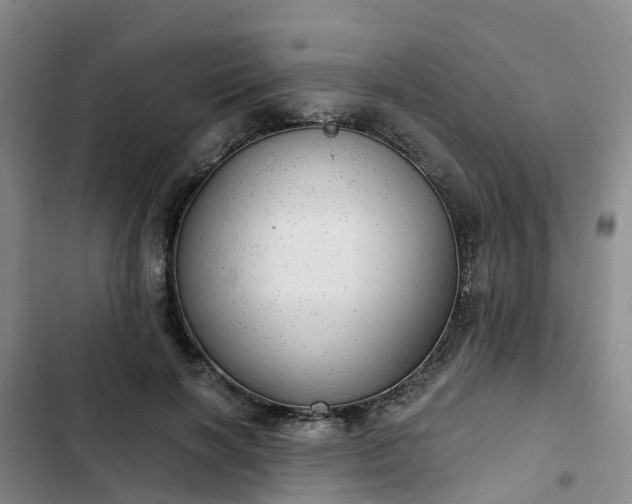 X0000102770646200808251053