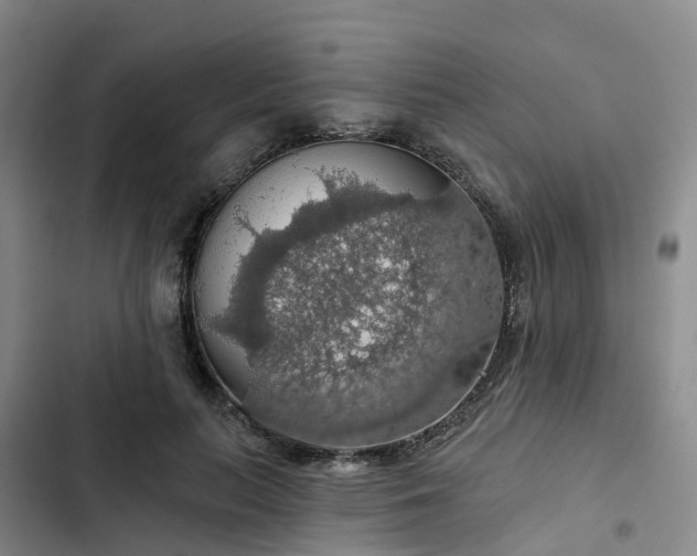 X0000102770647200808251053