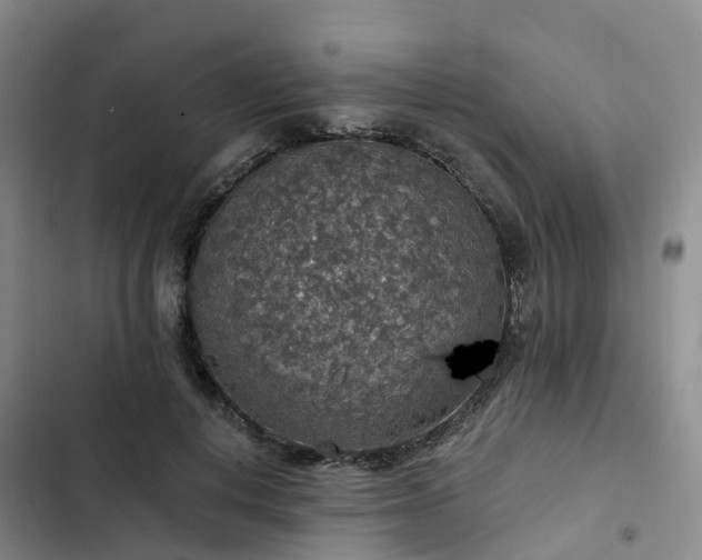 X0000102770648200808251053