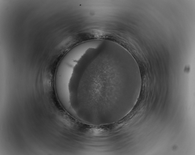 X0000102770650200808251053