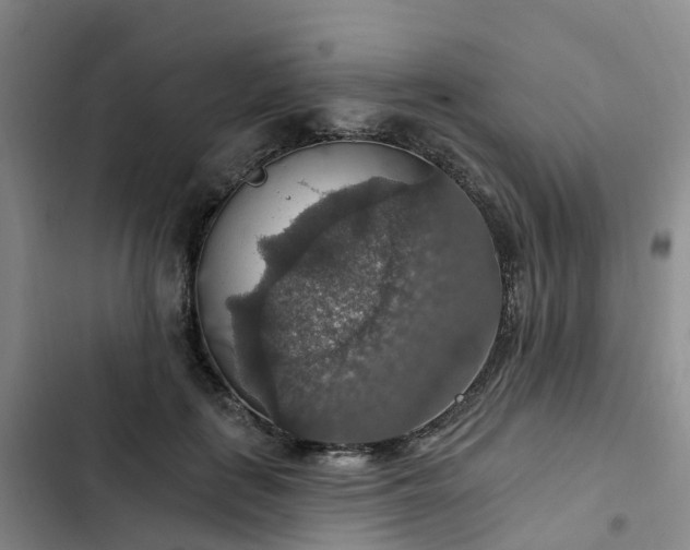 X0000102770651200808251053