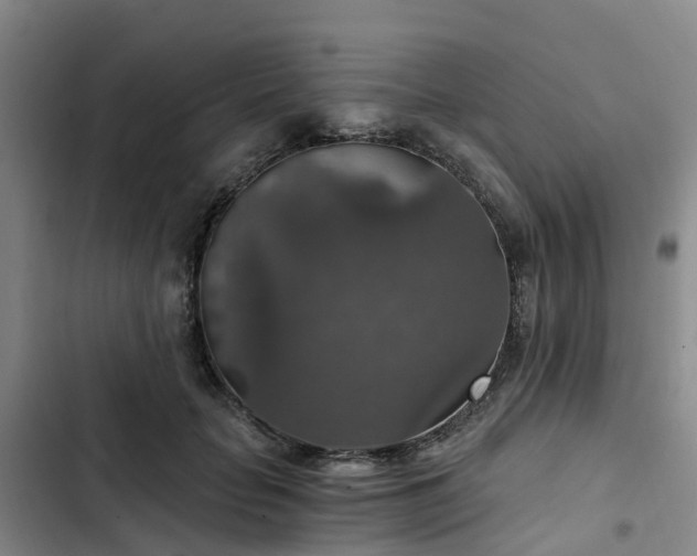 X0000102770653200808251053