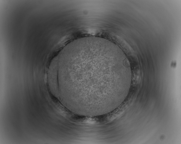 X0000102770656200808251053