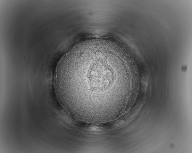 X0000102770657200808251053