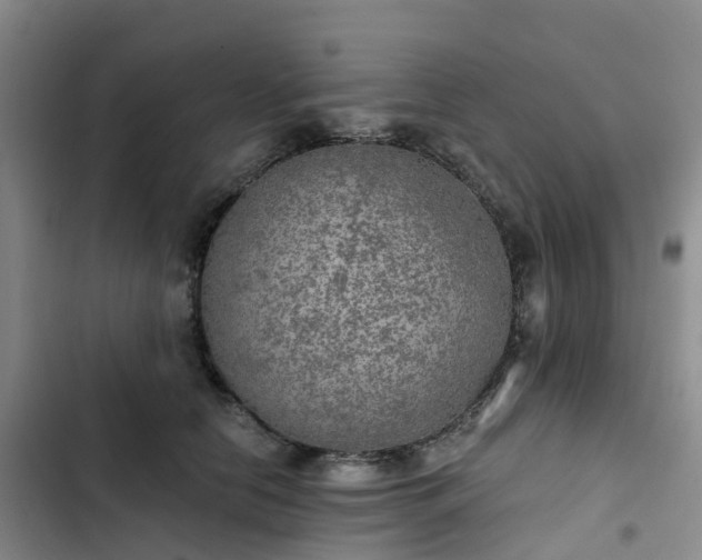 X0000102770658200808251053