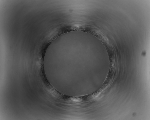 X0000102770659200808251053