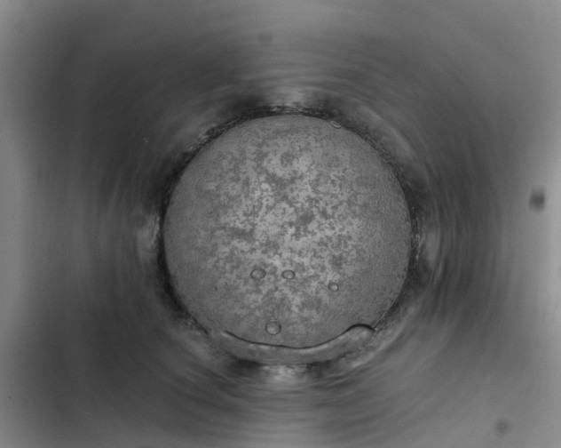 X0000102770660200808251053