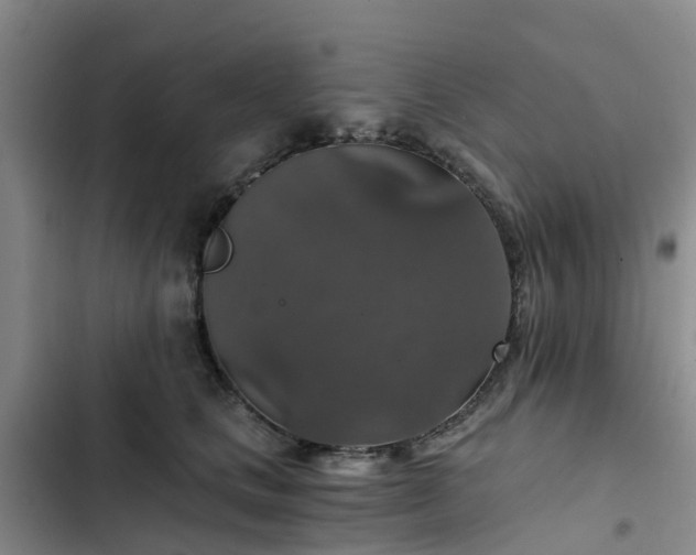 X0000102770661200808251053