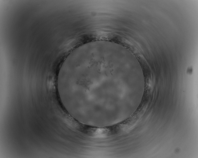 X0000102770663200808251053