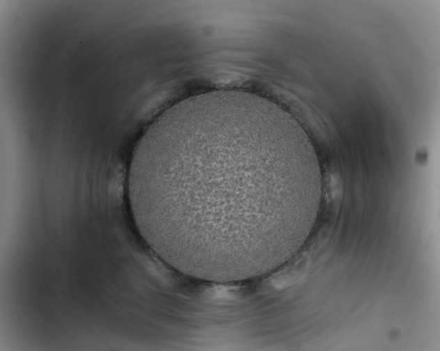 X0000102770664200808251053