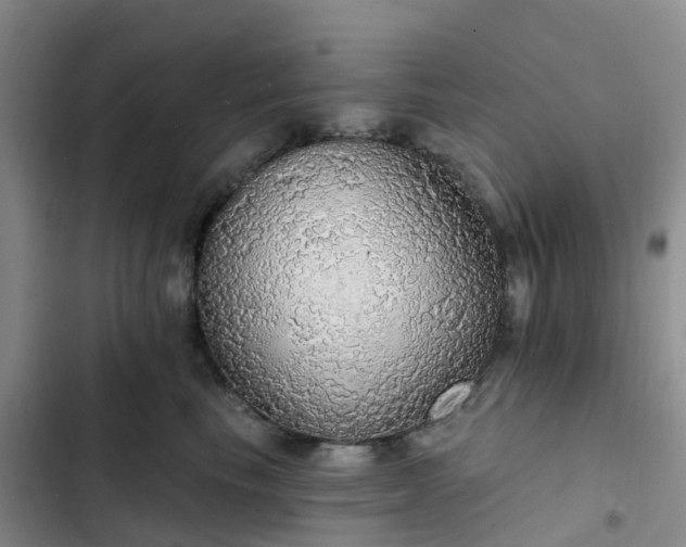 X0000102770665200808251053