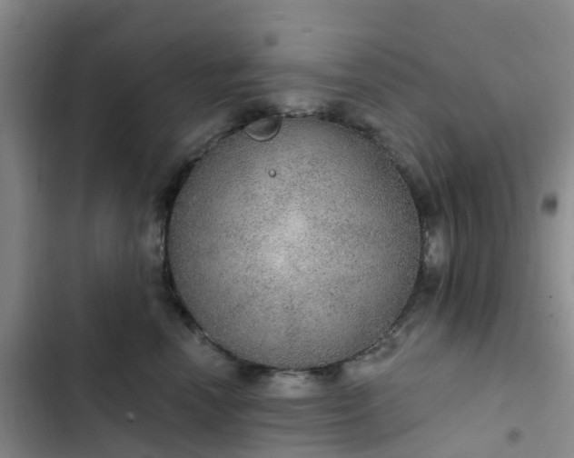 X0000102770666200808251053