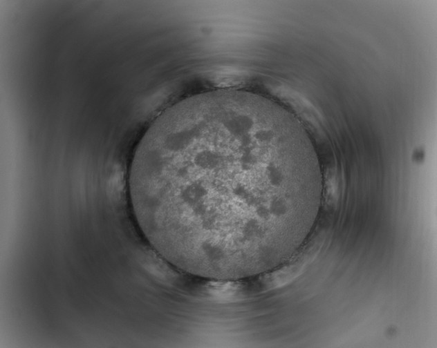 X0000102770667200808251053