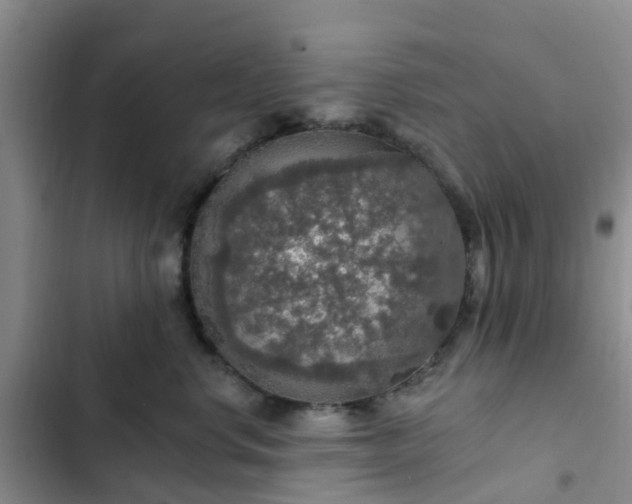 X0000102770668200808251053