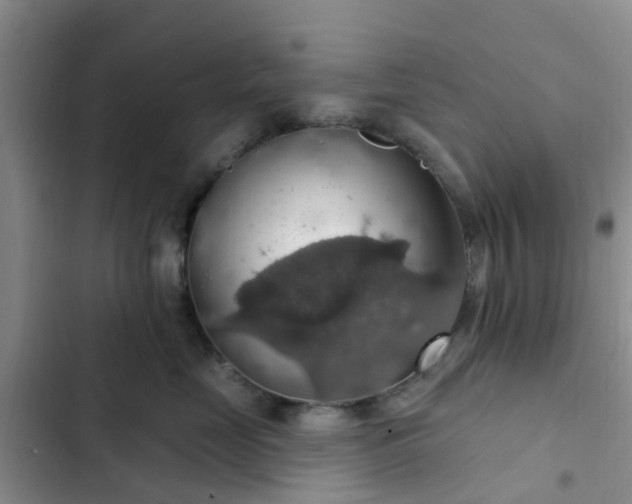 X0000102770669200808251053