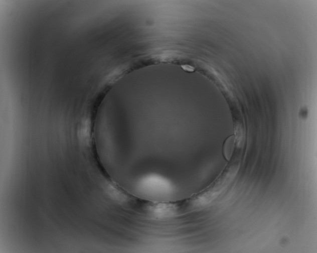 X0000102770670200808251053