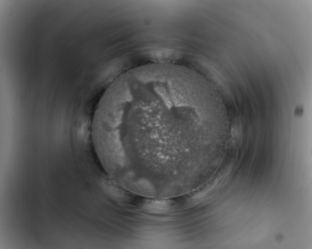 X0000102770671200808251053